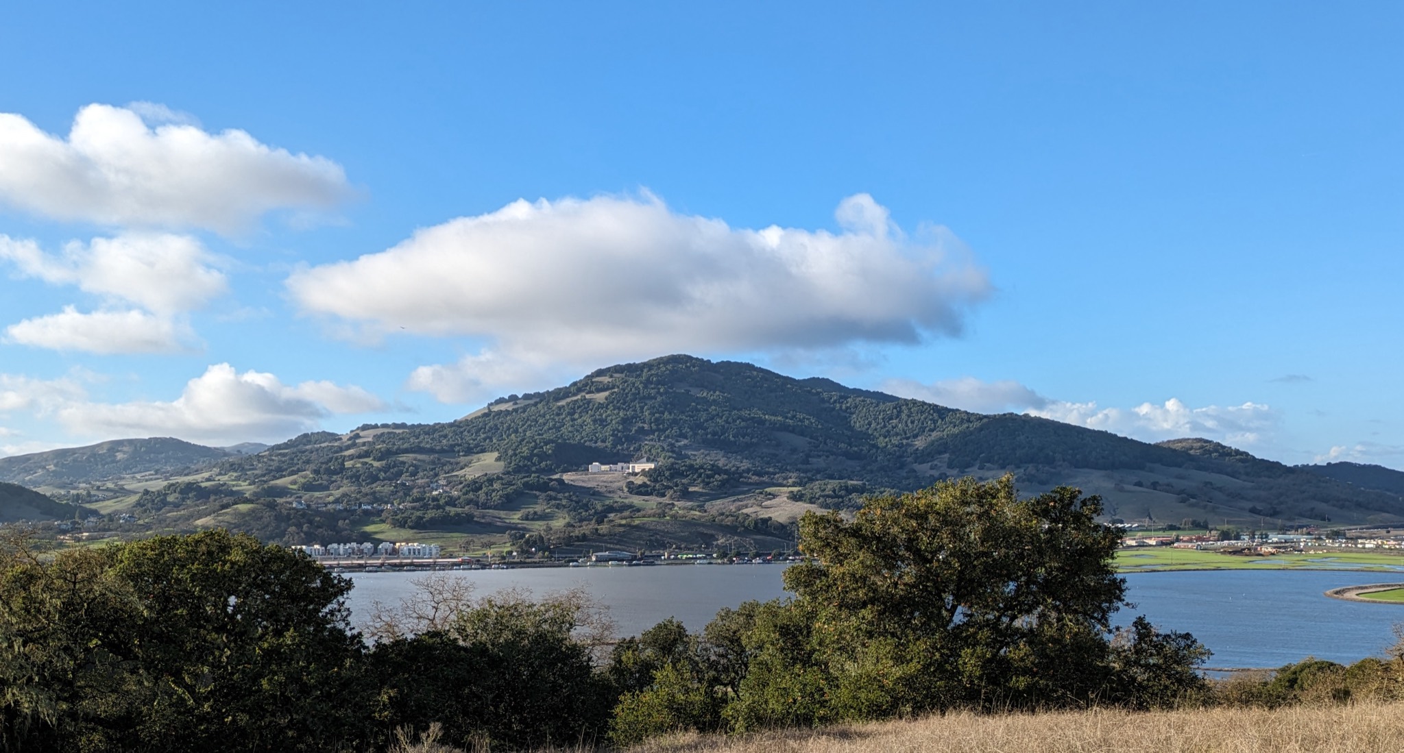 Mount Burdell rising over the Novato baylands.