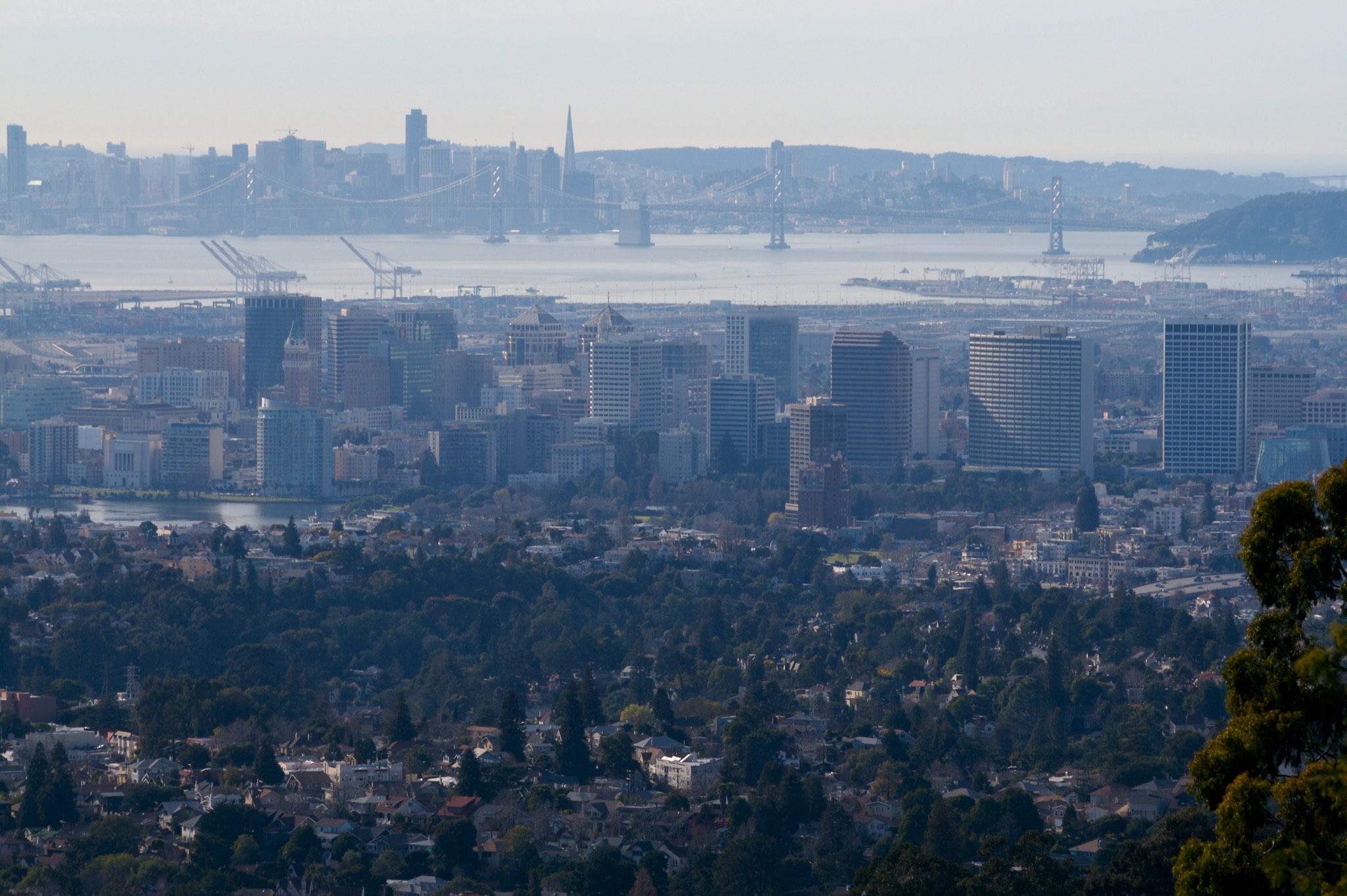 Downtown Oakland and Lake Merritt from the Oakland hills, with the Bay Bridge and San Francisco beyond.